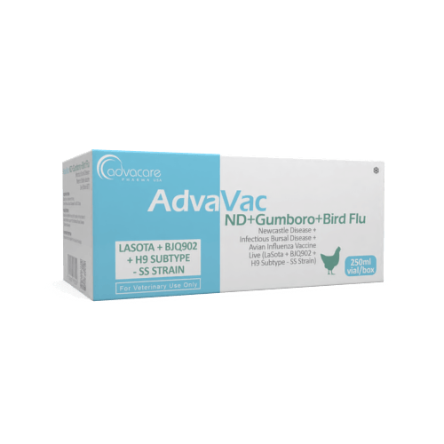 Newcastle Disease + Infectious Bursal Disease + Avian Influenza Vaccine (box of 1 vial)